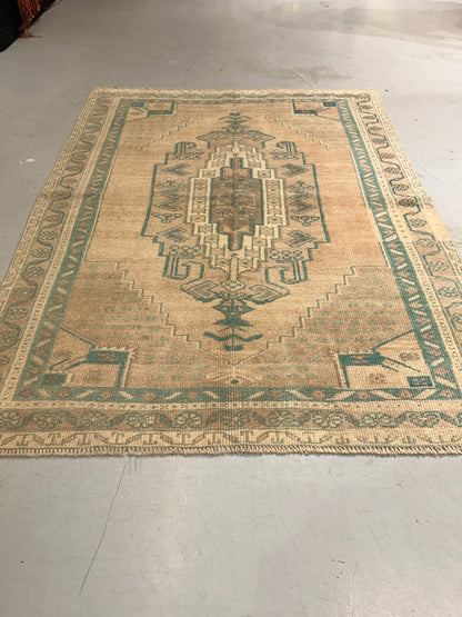 no 10 - Carpet and Rug-3.6x4.9 (Taspinar/Anatolia)